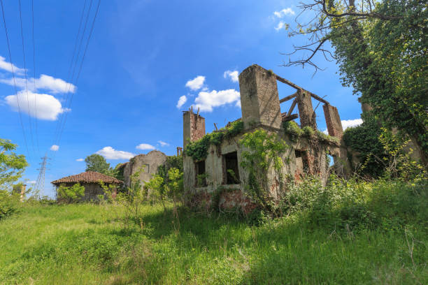 istock Abandoned farmhouse 1317085098