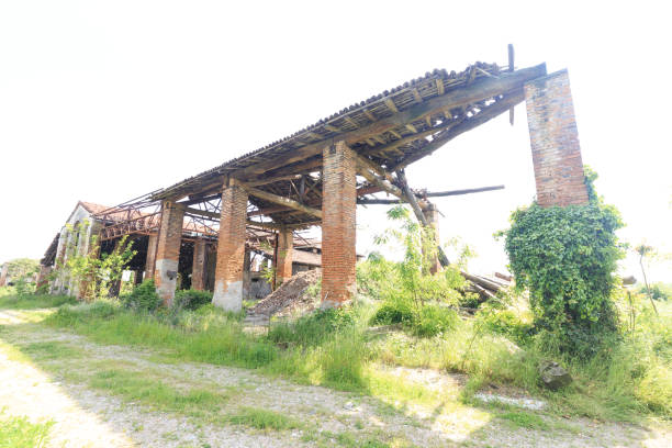 istock Abandoned farmhouse 1317085114