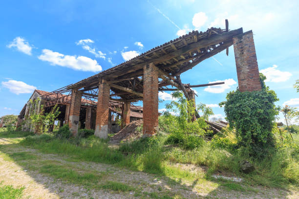 istock Abandoned farmhouse 1317085150