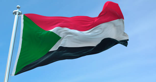 flaga palestyńska - historyczna palestyna zdjęcia i obrazy z banku zdjęć