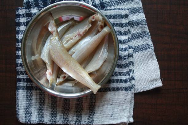 istock Fresh Raw Fish for seafood cooking preparations, Ladyfish. 1317090871