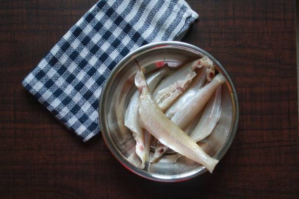 istock Fresh Raw Fish for seafood cooking preparations, Ladyfish. 1317090888