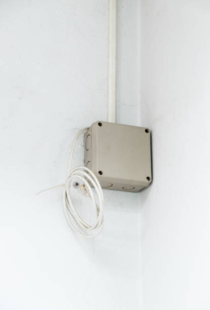istock The small control box with the LAN cable for distribution of the network around the office. 1317091971