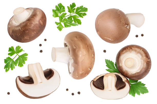 istock Royal Brown champignon mushroom with leaf parsley isolated on white background . Top view. Flat lay 1317092001