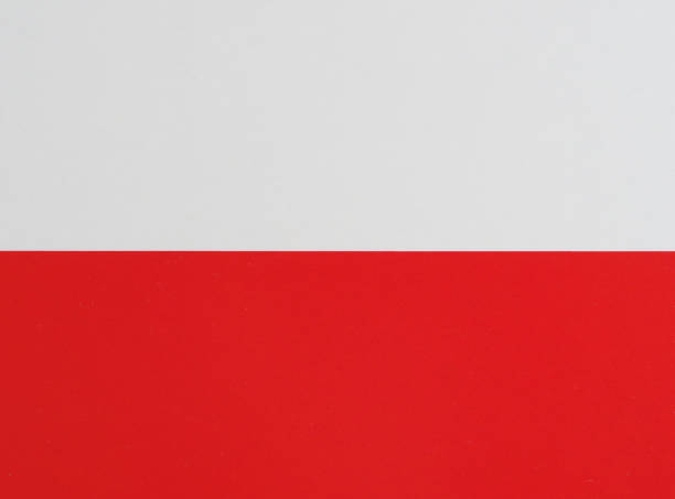 istock Polish Flag of Poland 1317092883