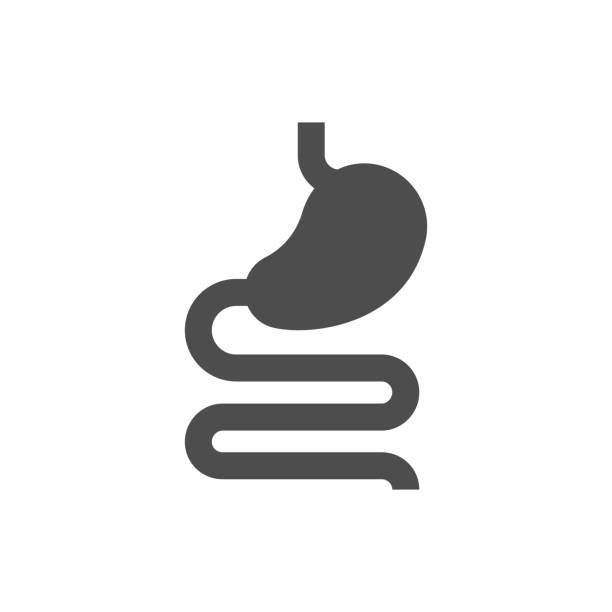 glyphensymbol des menschlichen verdauungssystems - alimentary stock-grafiken, -clipart, -cartoons und -symbole