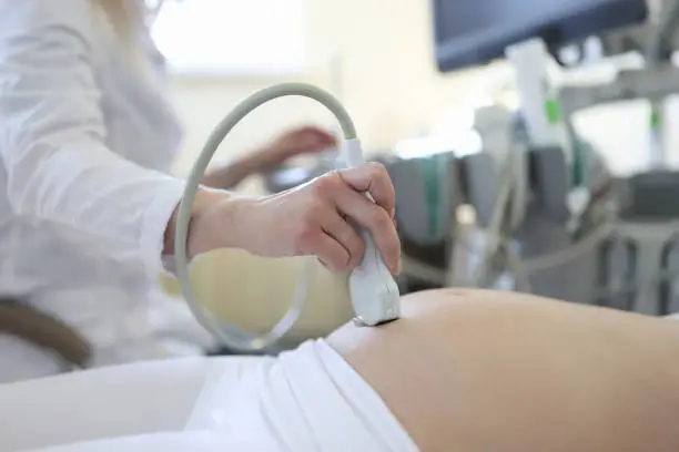 Photo of Doctor doing ultrasound examination of pregnant woman patient in clinic closeup