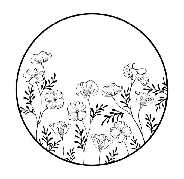 Frame with contour california poppy Round contour frame with artistically drawn California poppy on white background. Coloring. antelope valley poppy reserve stock illustrations