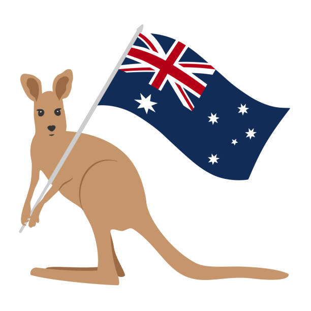 ilustrações de stock, clip art, desenhos animados e ícones de cute cartoon kangaroo with australia flag. composition for holiday australia day. hand-drawn vector, flat style. the symbol of the country, patriotism, hospitality. for tourism, celebration, school. - australia australia day celebration flag