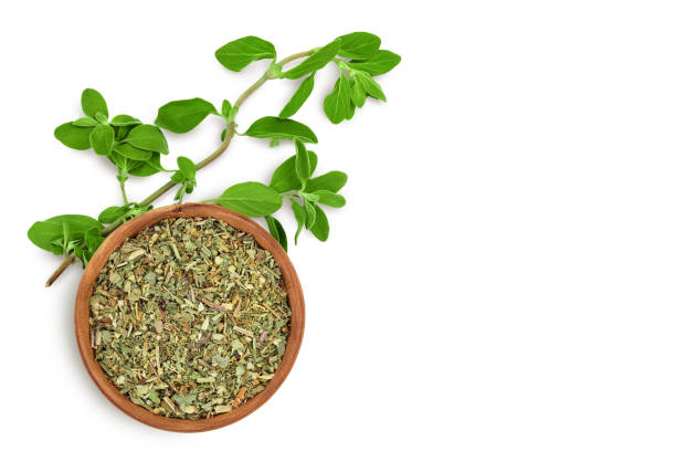 oregano or marjoram leaves fresh and dry isolated on white background with clipping path. top view with copy space for your text. flat lay - oregano imagens e fotografias de stock
