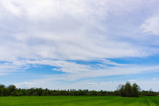istock green field and blue sky with beautiful clouds 1317106754