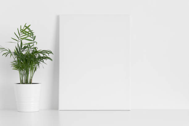 istock White canvas mockup with a palm plant on the table. 1317106758