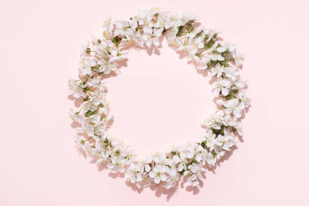 istock Round frame, wreath of white cherry flowers on a pink background, spring, wedding background. 1317107858