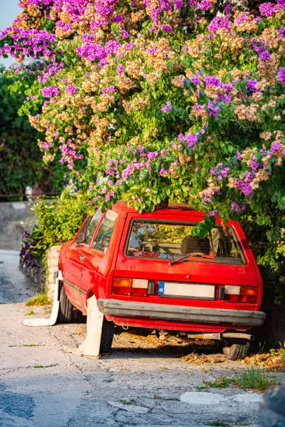 Retro car parked in street, under tree. Montenegro, Europe. Oldtimer with classical design.