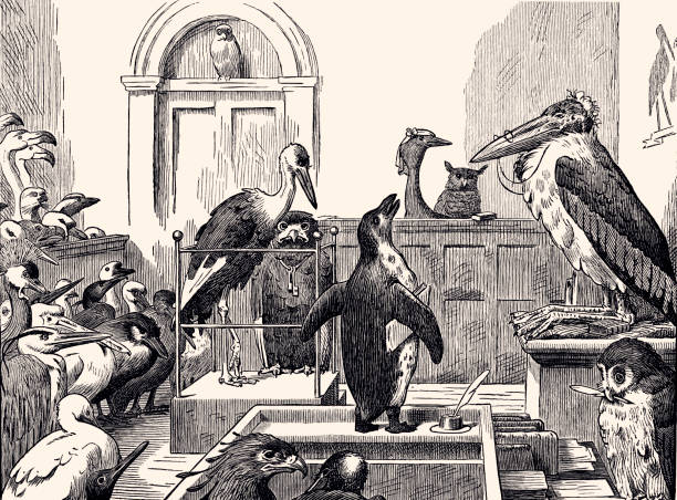 illustrazioni stock, clip art, cartoni animati e icone di tendenza di corte di giustizia (xxxl con molti dettagli) - victorian style engraved image image created 19th century animal