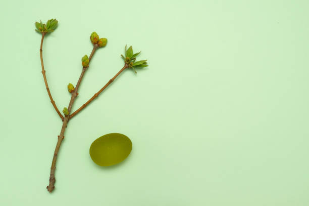 istock Young spring branch with leaves and galss stone 1317114152