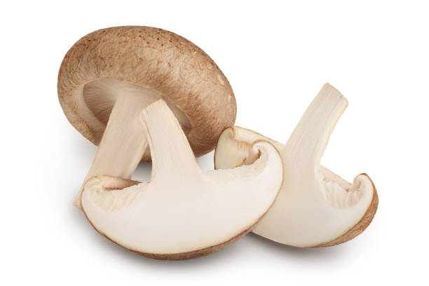 istock Fresh Shiitake mushroom isolated on white background with clipping path and full depth of field. 1317114506