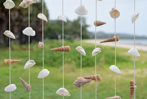 This seashell crafts mobile is hanging with blurred background of grass field and the beach