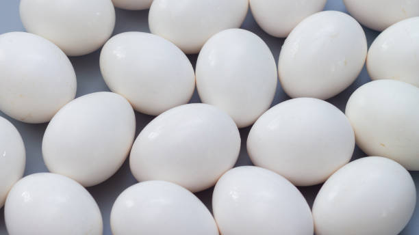 istock Background of white chicken eggs on a gray background 1317117012
