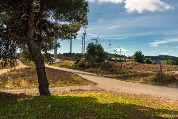 winter agricultural landscape with wind turbines in the background inside Catalonia region