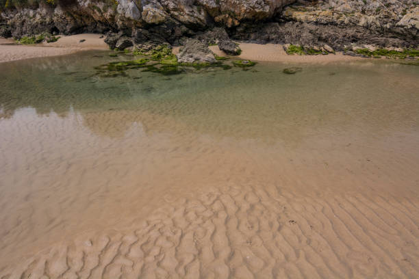 istock Low tide near Poo, Asturias 1317119332
