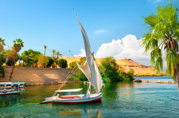 istock Tourism in Aswan 1317120767