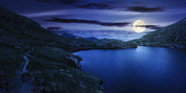 istock summer landscape with lake at night 1317121531