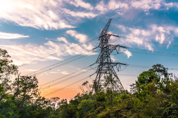 istock Distribution electric substation with power lines and transformers, at sunset. 1317121860