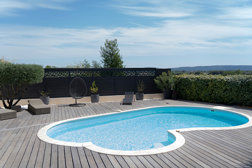 swimming pool in a garden with sunbeds , concrete wall and wood in the background - 3d rendering