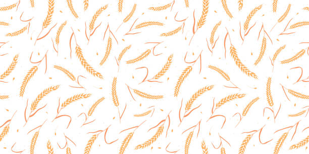 흰색 배경 플랫 스타일 디자인 벡터 일러스트레이션에 고립 된 통곡물 씨앗 유기농, 천연 귀가있는 매끄러운 패턴. - barley grass wheat isolated stock illustrations