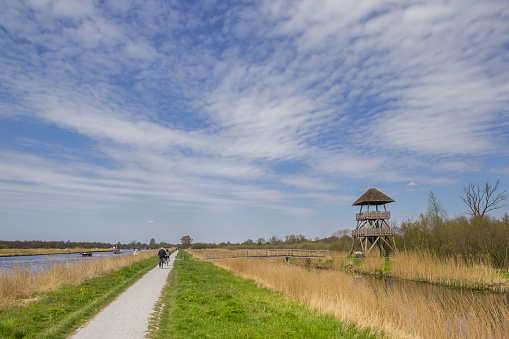 Path and lookout tower ih the nature area Alde Feanen in Eernewoude, Netherlands