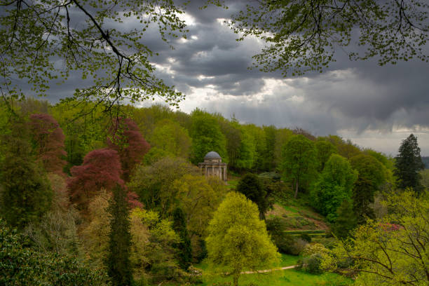 The great british landscape on an early day in spring with its magnificent foliage