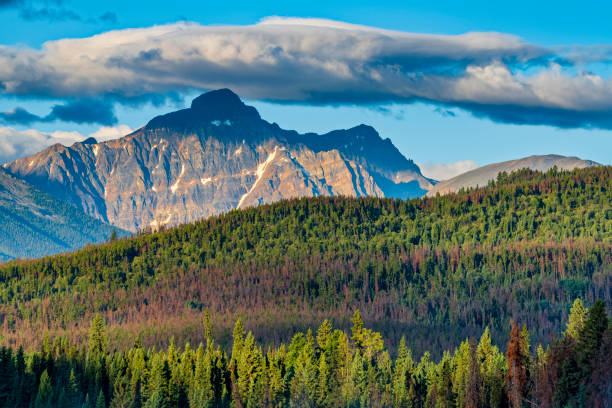 istock Jasper National Park in Alberta Canada 1317133434