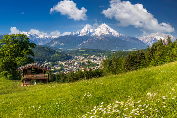 istock Alpine scenery with mountain hut in summer 1317133665
