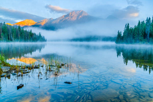 istock Jasper National Park in Alberta Canada 1317134536