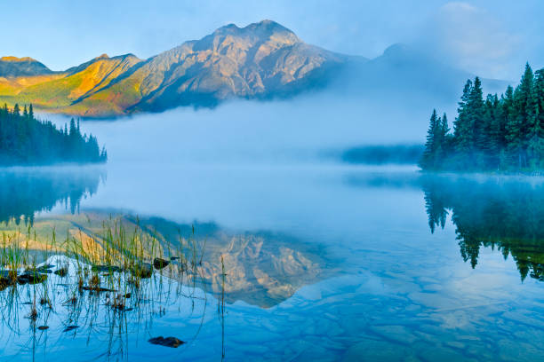 istock Jasper National Park in Alberta Canada 1317134580