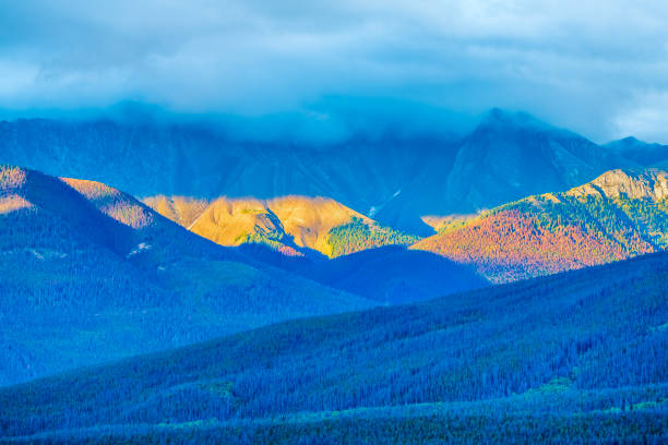 istock Jasper National Park in Alberta Canada 1317134864