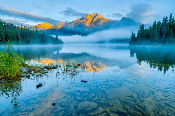 istock Jasper National Park in Alberta Canada 1317135771