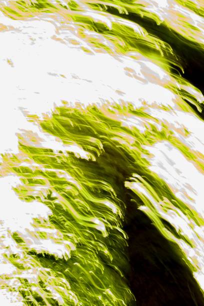 istock Abstract Green Color in Nature 1317136114
