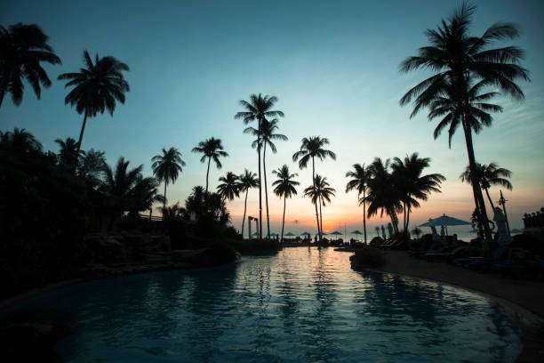 istock Twilight on a asian tropical sea beach. 1317136776