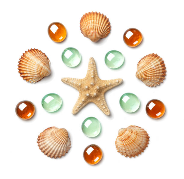 Pattern in the form of a circle made of shells, starfish and green and yellow glass beads isolated on white background Pattern in the form of a circle made of shells, starfish and green and yellow glass beads isolated on white background. Flat lay, top view shell starfish orange sea stock pictures, royalty-free photos & images