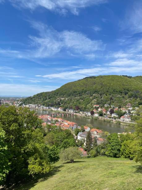 istock Heidelberg beauty sun castle Bridge Neckar 1317138980