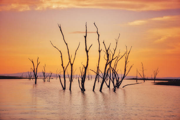 istock Sunset over Lake Kariba, Zimbabwe 1317139448