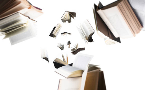 istock Flying several books isolated on white background. 1317141645