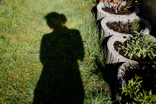 Side profile - shadow of a woman in a green meadow - herbs are on the right side of the picture