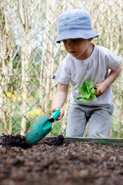 istock little child stands at vegetable patch and shovels a hole 1317145929