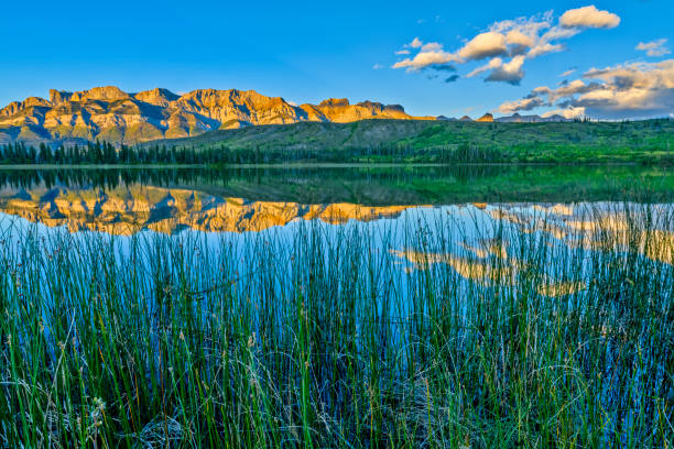 istock Jasper National Park in Alberta Canada 1317146673