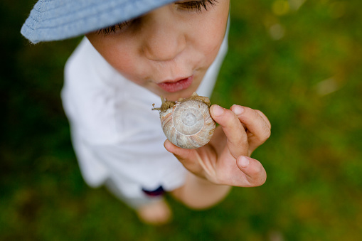 Little boy in a sun hat and white shirt holds a snail in his hand