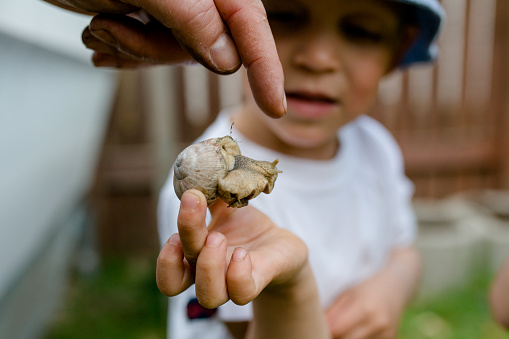 Little boy in a sun hat and white shirt holds a snail in his hand. Father points his finger at the snail