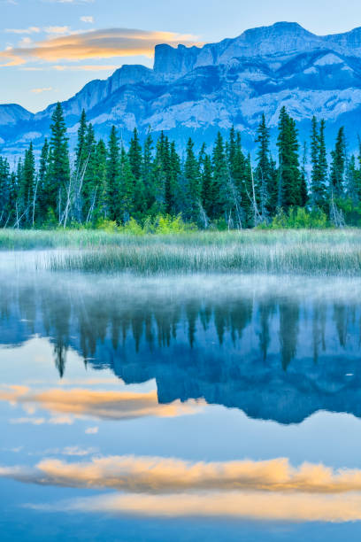 istock Jasper National Park in Alberta Canada 1317146787